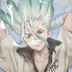 t*i様 Dr.STONE 七海龍水 プレミアム抱き枕カバー - メルカリ
