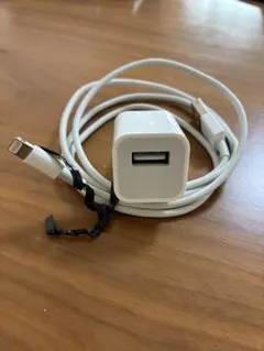 LightningケーブルとUSB充電器セット