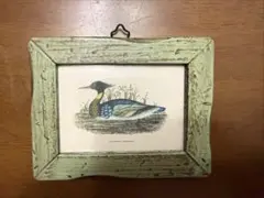 アンティーク調 鳥の絵画 額縁付き