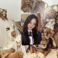 TWICE THE STORY GOES ON cast ver ツウィ トレカ