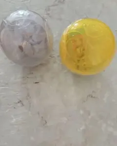 ワンピの実　十六海戦　ボニー　十九海戦　ニカ