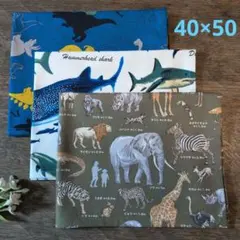 ランチョンマット3枚セット　男の子　給食　小学校　保育園　幼稚園