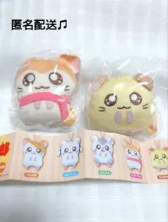 カプセルトイ　とっとこハム太郎　かぷっこふれんず　マフラーちゃん　ちび丸ちゃん