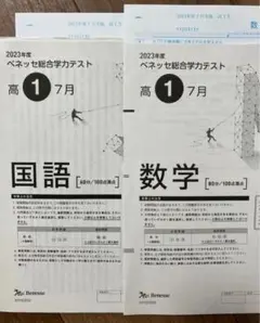 進研ベネッセ高1総合学力テスト2023年度7月数国未使用問題　解答用紙付き！
