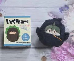 ハイキュー！！　くるみたぴぬい　山口