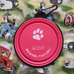 Item thumbnail for item 06e1f3b5-4e73-40df-aeed-0bdc8f47ffe1