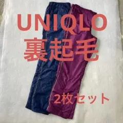 裏起毛パンツ レディースl