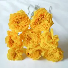 mchi様 リクエスト 2点 まとめ商品