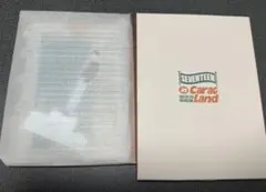 SEVENTEEN ケレン ウォヌ アクリルスタンド