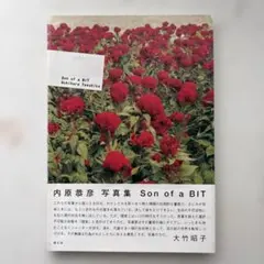 内原恭彦 Son of a BIT 写真集 青幻舎
