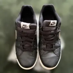 Item thumbnail for item bd622cbc-8c69-4b32-8835-7980ae6cb268