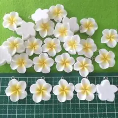 プリメリア 6個 素材 パーツ 目印アクセサリー ハワイ オシャレ 花 白