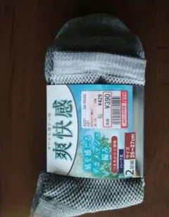 Item thumbnail for item a550ef32-dc35-4e95-9624-e3b96bd60ceb