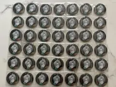 【最終値下げ】にじさんじ ROF-MAO 四神モチーフ 缶バッジ 甲斐田晴42点