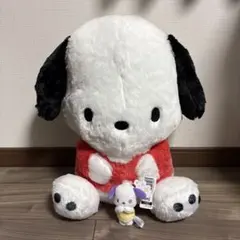 ポチャッコ　ぬいぐるみ　2種類セット