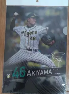 阪神タイガース 糸井嘉男選手 クリアファイル 2枚組 - メルカリ