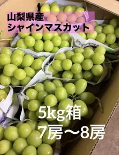 山梨県笛吹市産 シャインマスカット 4房 2k - メルカリ