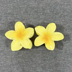 ハイビスカス ヘアクリップ 花 髪留め バレッタ プルメリア　2個セット