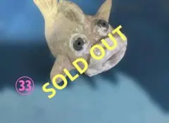 Item thumbnail for item 979efd51-ae57-4504-bd6e-c756a700f76c