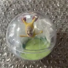 こびとづかん　カプリウムコレクション　ホトケアカバネ