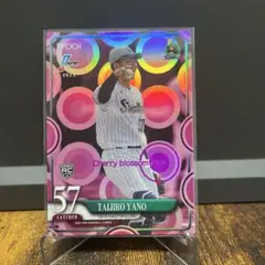 5枚限定　矢野泰二郎　インサートカード　epoch 2025 NPB