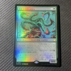 苔生まれのハイドラ