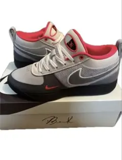 Nike book1 バスケットボールシューズ 30cm US12 - メルカリ