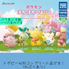 ポケモン ぽかぽかびより2 フィギュア 6体セット