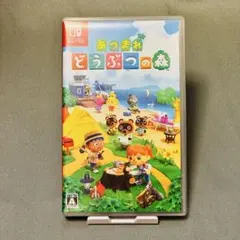 あつまれ どうぶつの森 Nintendo Switch #2