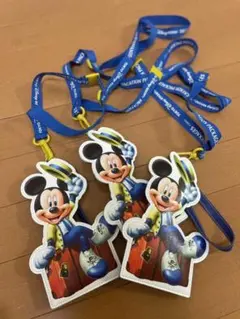 非売品 ディズニー バケーションパッケージ パスケース