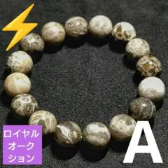 ☆ペトリファイドコーラル 12-12.5ミリ珠 ブレスレットD | Mercari