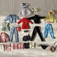 27㎝ お洋服 大量セット ジェニー