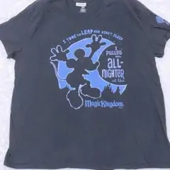 90s シングル Disney Parks ミッキーマウス Tシャツ 2XL相当