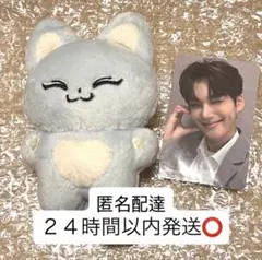 EVNNE パクハンビン ぬいぐるみ フォックスビン ドール トレカ　セット