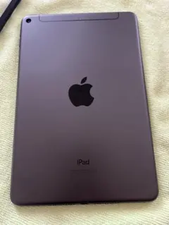 iPad mini 第5世代 wlfi＋cellular 64gb