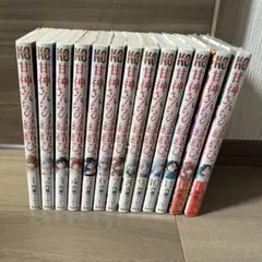 日には流れて橋に行く 11巻セット - メルカリ