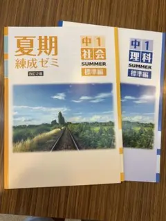 ふみこ様 リクエスト 2点 まとめ商品