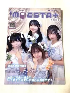 Item thumbnail for item 9623d9b2-b218-42e9-adcc-398d59aeb7c4