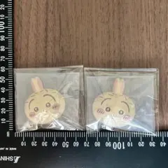 치이카와 ホイップマグ 우사기 2つセット