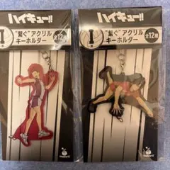 ハイキュー!! キーホルダー