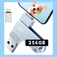 256GB USB Type-C メモリ　グレー