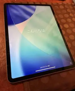 iPad Pro 11インチスペースグレイ256GB Wi-Fiモデル