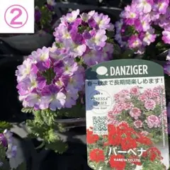 hanahana2000様 リクエスト 2点 まとめ商品