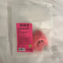 TXT PPULBATU FACE KEYRING ヨンモン スビン