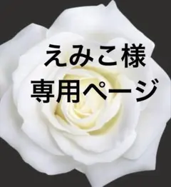 大特価！K18ブラックダイヤモンド　ペアシェイプ ピアス+K18 ネックレス