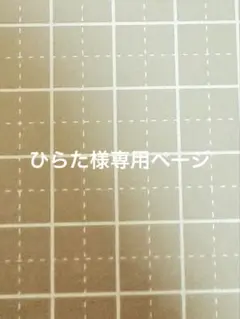 ひらた様専用ページ