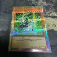 サイフレームドライバー　プリシク