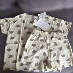 ボリス 半袖セットアップ