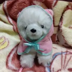 わんちゃん　ぬいぐるみセット　 ミルクボトル付き　こいぬ　ベビーカーこいぬちゃん
