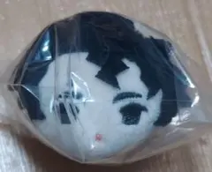 ハイキュー もちマスミニ